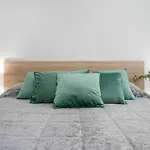 C41 B&B Alicante