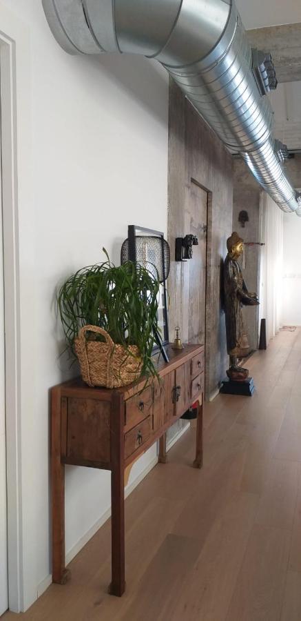 Huoneisto Atico Loft En Frente Al Mar Terraza Vista Espectacular