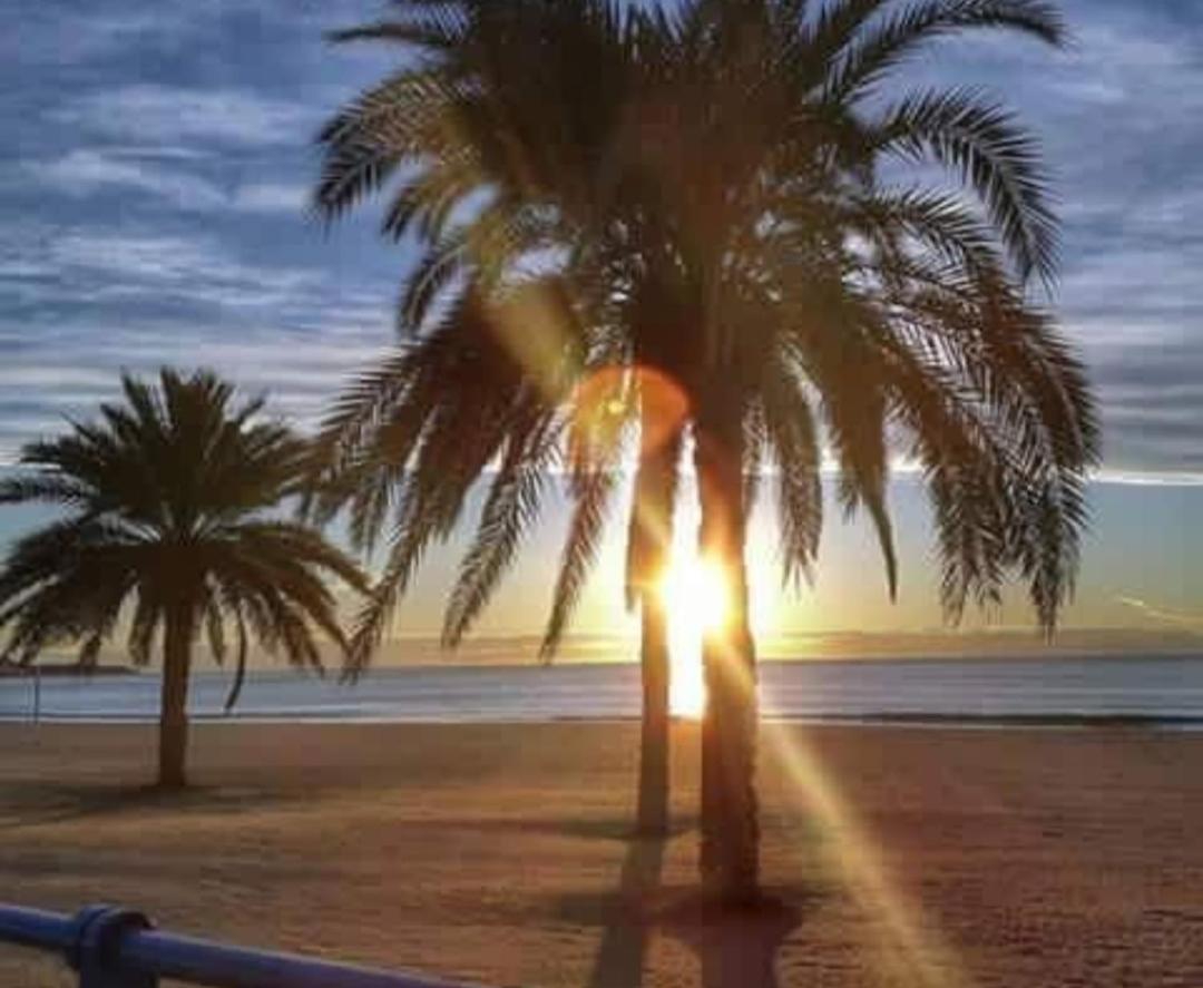 My House Alicante