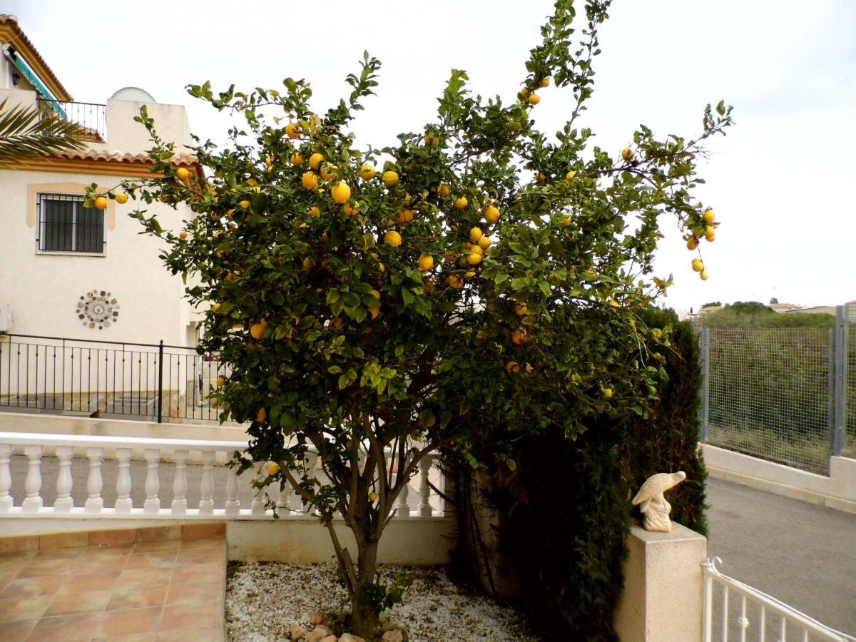 Flamenca - 10 Sleeps Holiday home