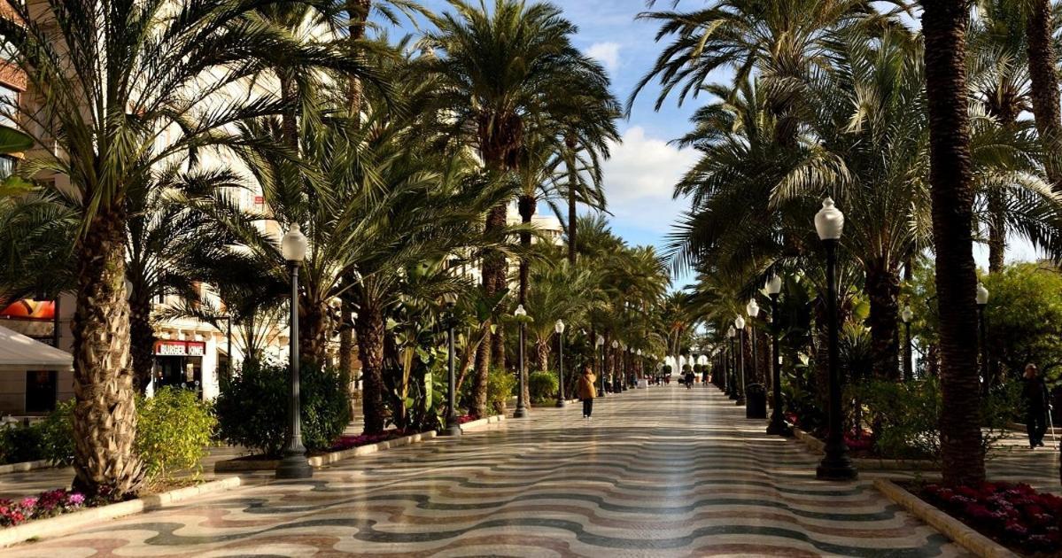 35-3- Комната В Квартире Для Семьи От 1 До 4 Человек В Центре Аликанте Homestay *