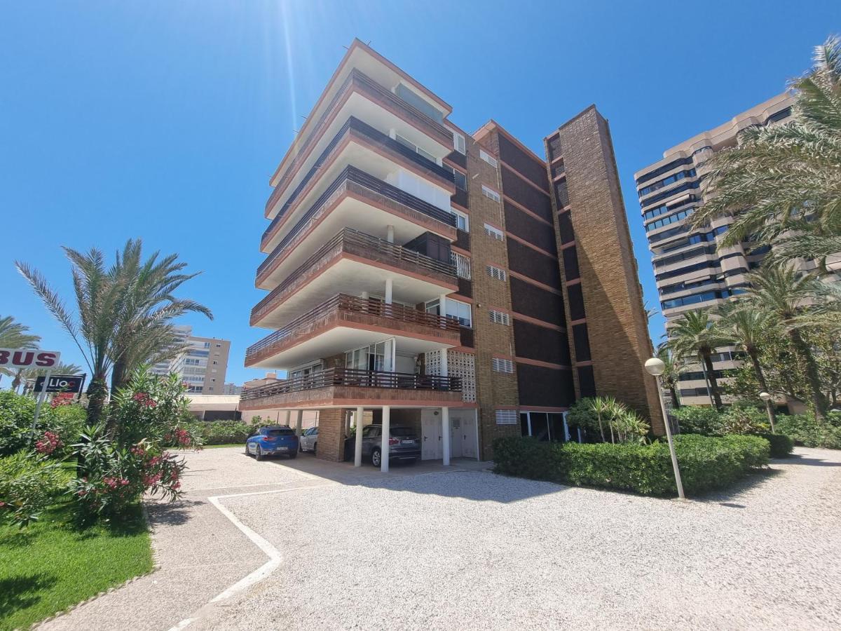 Febus Alicante