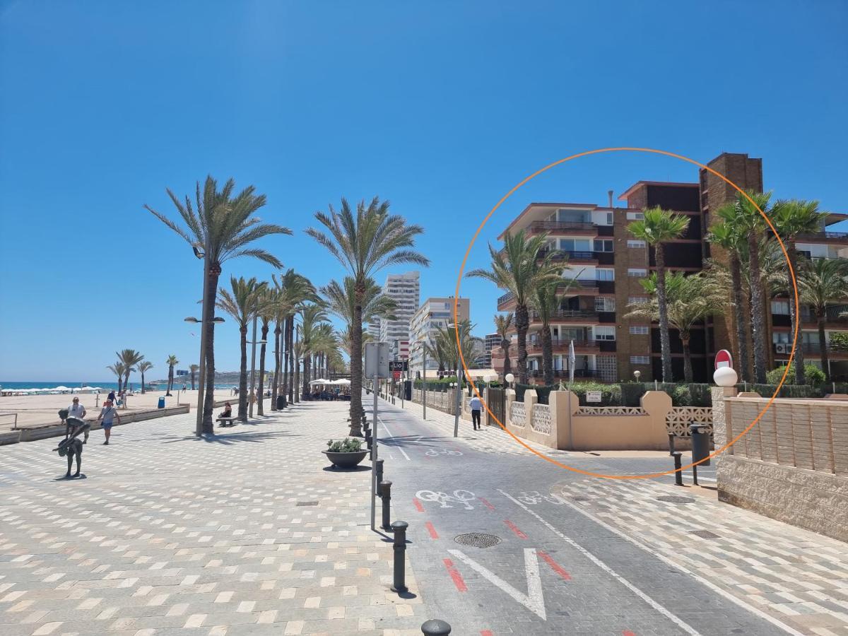 Febus Alicante