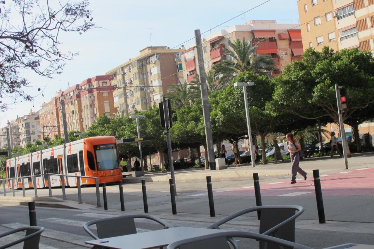 En Ani * Alicante