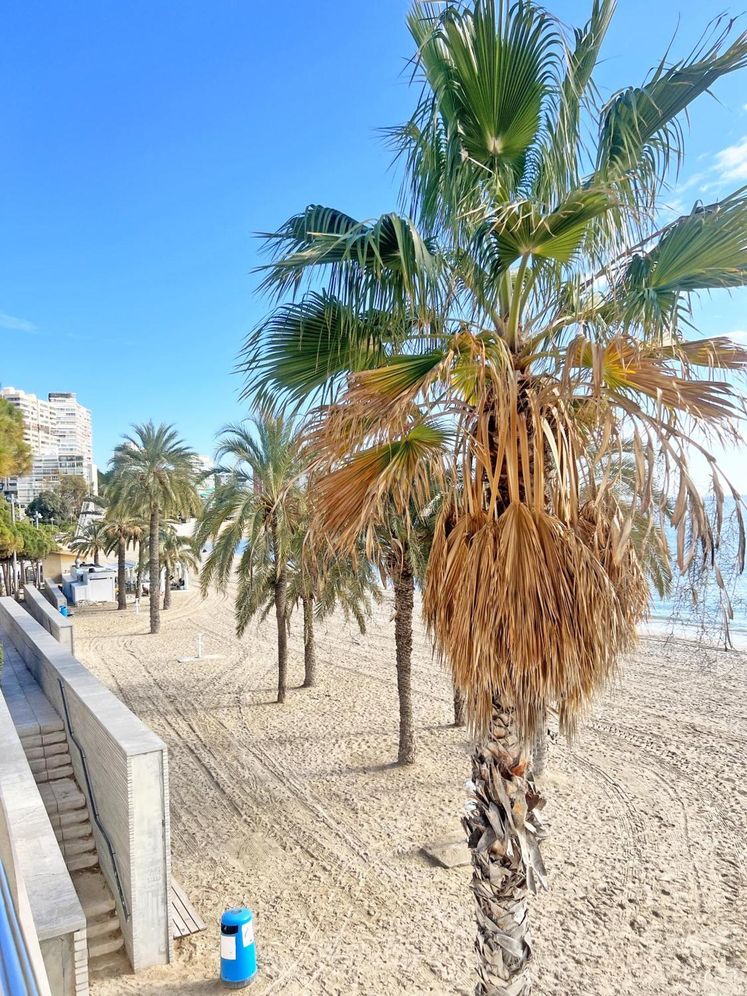 A 100m De La Playa. 2 Hab. A/c * Alicante