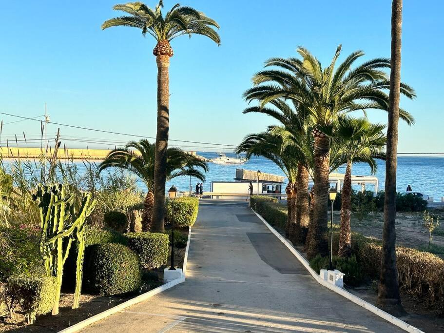 Apartment Face A La Avec Parking Gratuit Libre D'acces Alicante