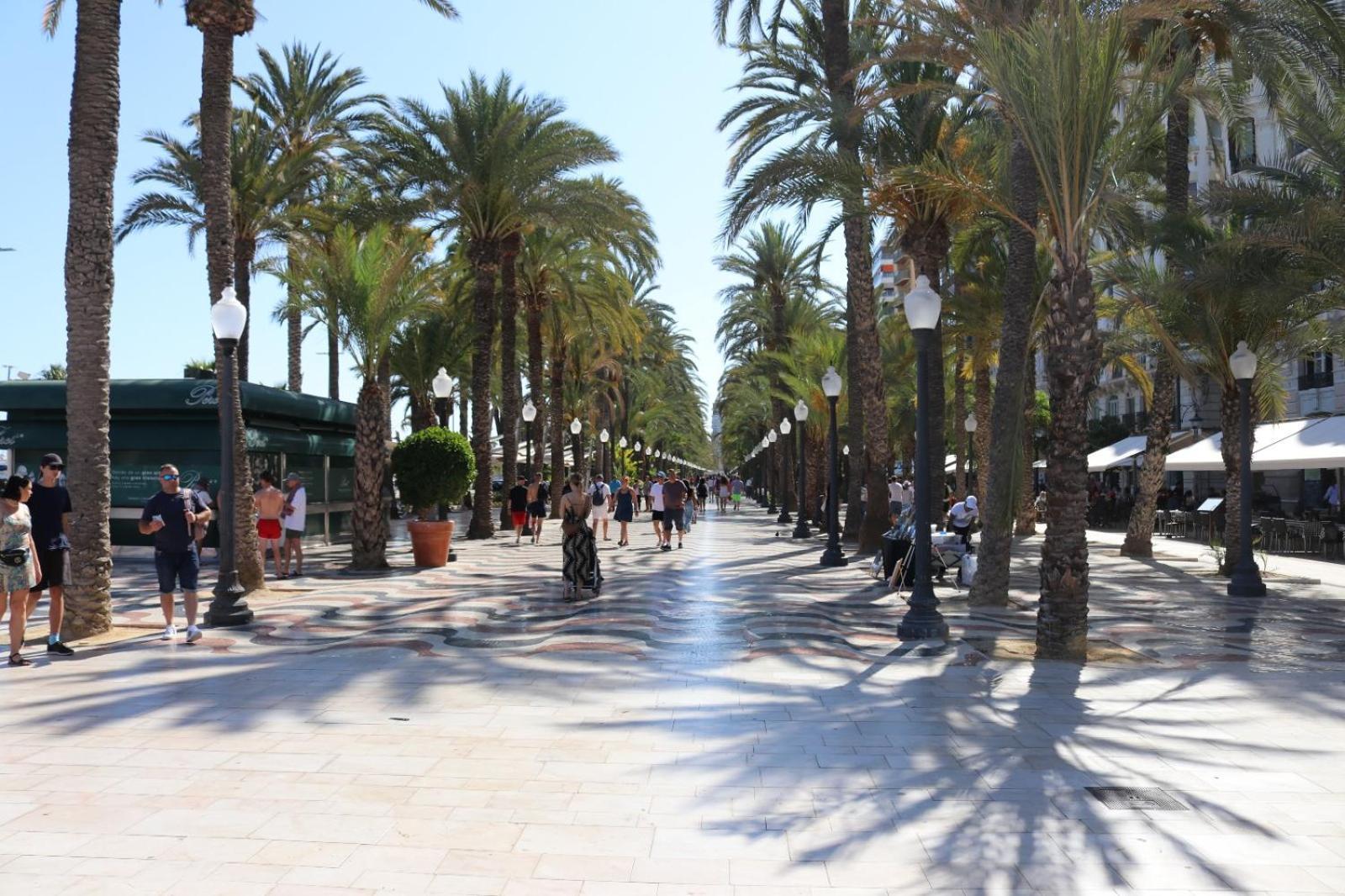 Apartamento The Penthouse Sun&garden Alicante