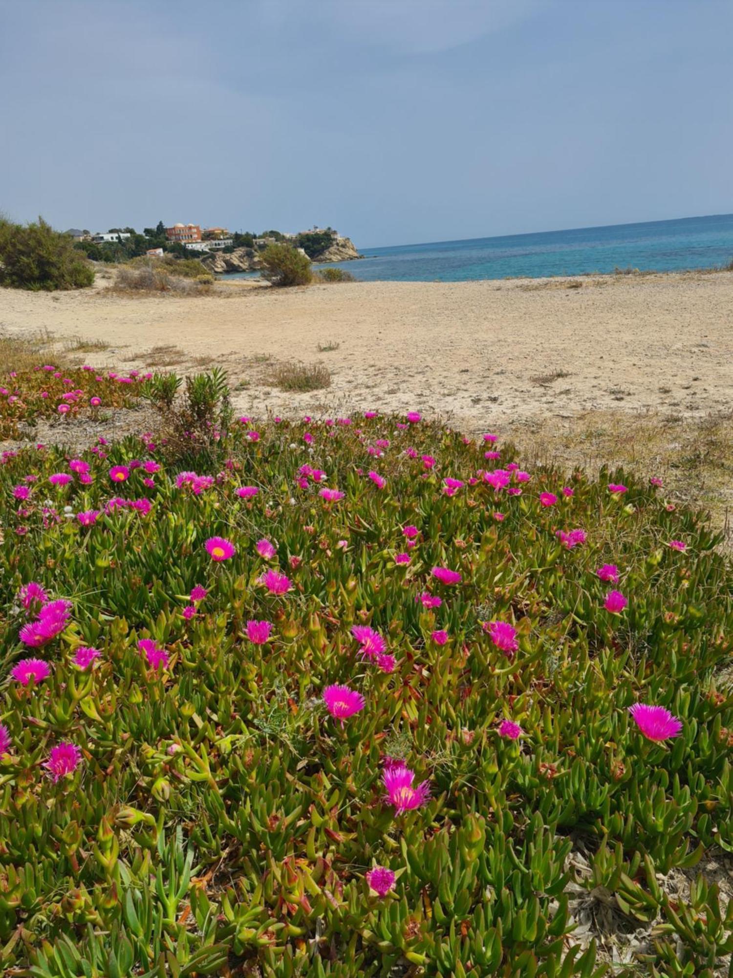 Holiday home Alkabir Playa Kate's House *