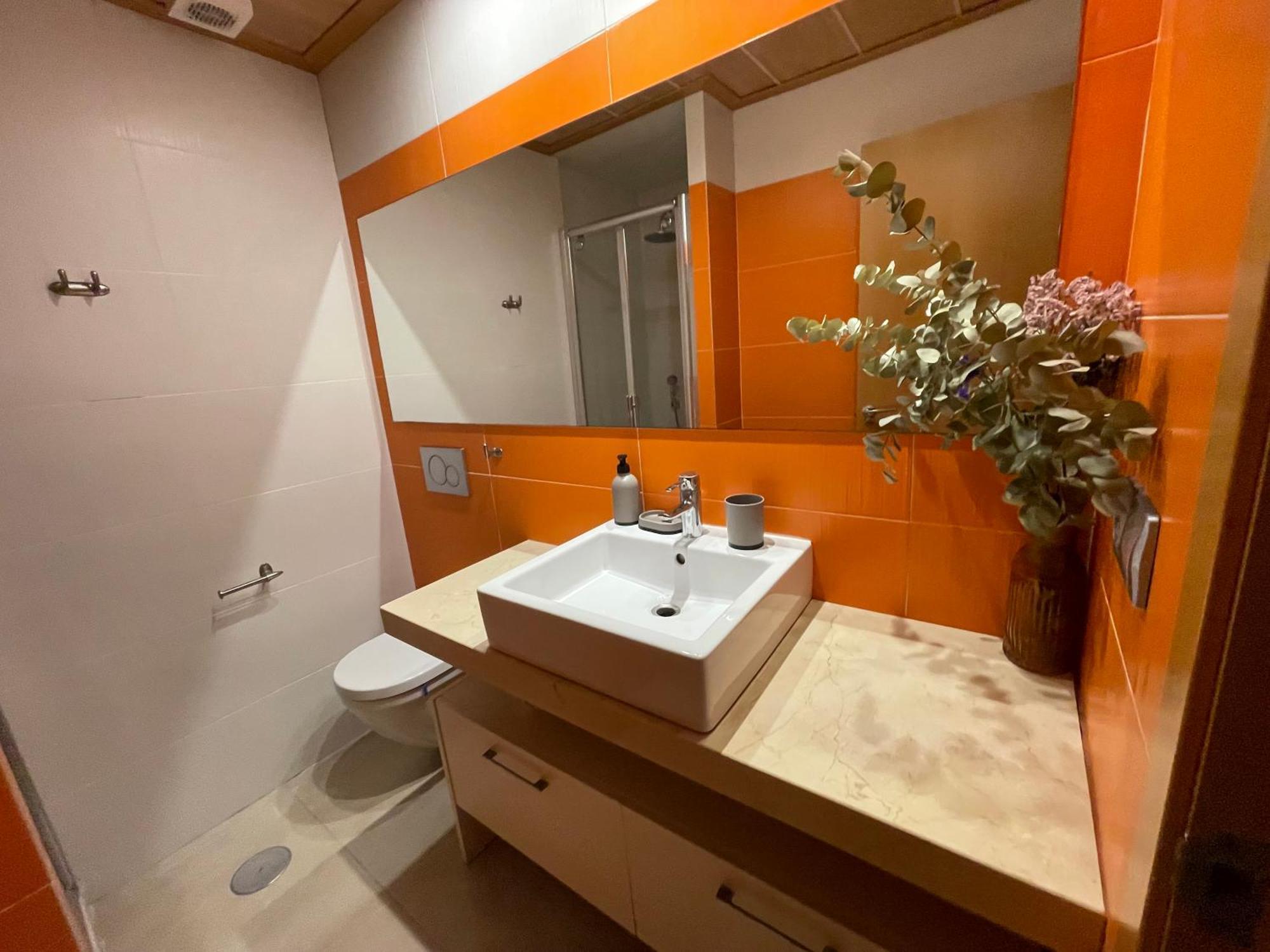 Taima Flats 1 * Alicante