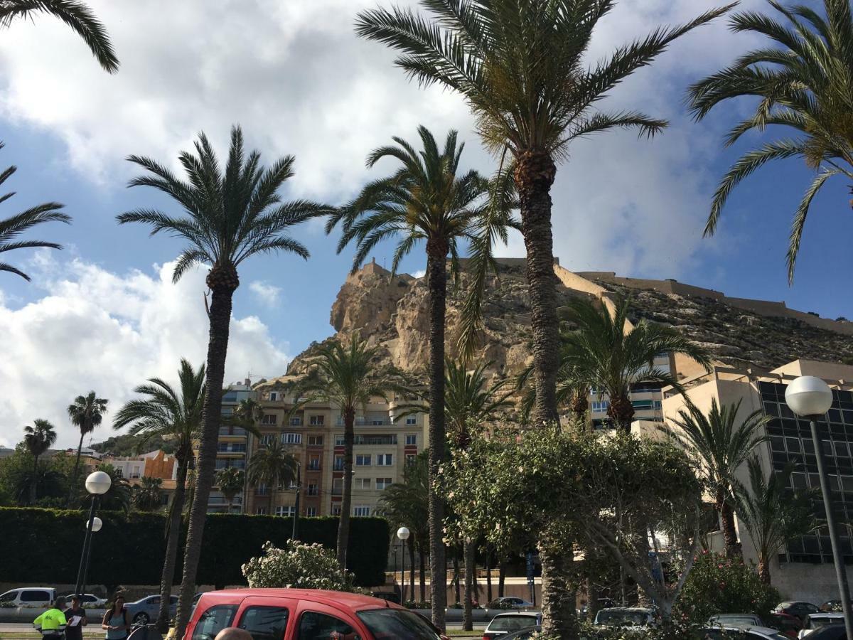 Near The Apartment Alicante