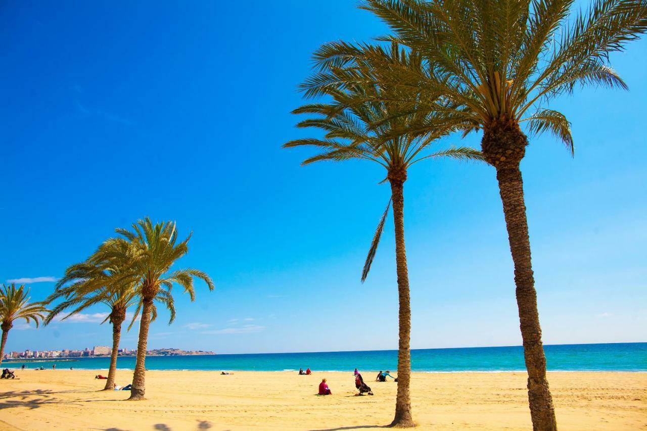 Near The Apartment Alicante