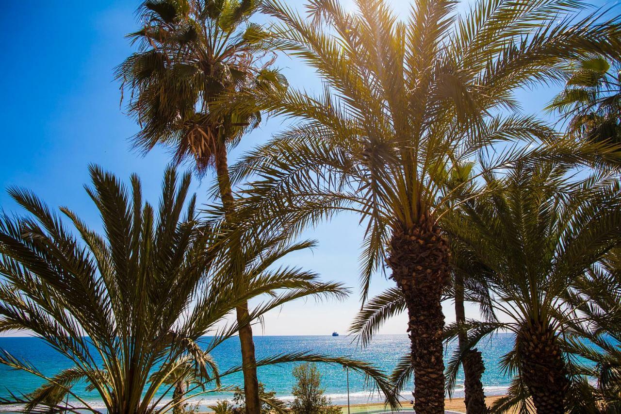 Apartment Near The Alicante