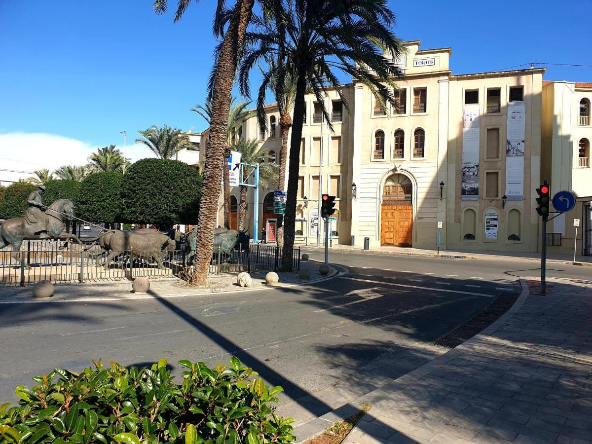 C41 Alicante