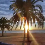 My House Alicante