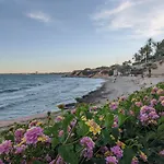 Oasis Beach Apartments