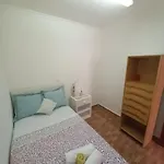 Clavelina Economy Room
