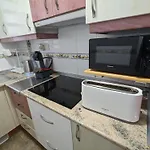 Delfín san juan