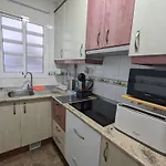 Delfín san juan