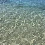 Riu Rau