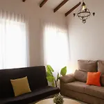 Labradores 13