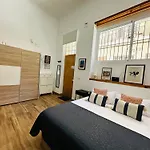 Loft 55 M Nuevo, Estudio Con Techo Alto En Alicante Centro