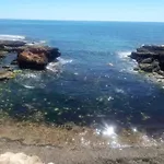 Все Что Нужно, Всегда Рядом