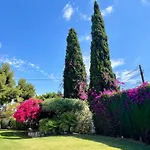***Chalet Alicante*** Experiencia Unica