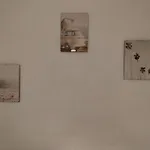 Rooms In Shared Apartment