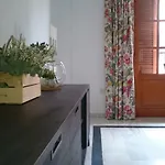 Comodidad, Calidad Y Amplitud En El Centro De Alicante