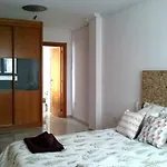 Comodidad, Calidad Y Amplitud En El Centro De Alicante