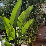 Chalet Albufereta