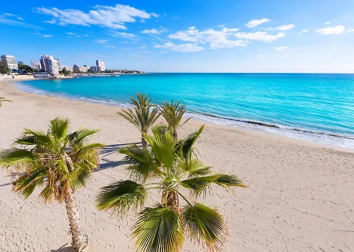Apartamento En Playa De La Albufereta