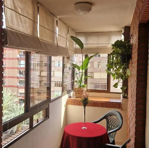 Habitacion En El Centro De Alicante