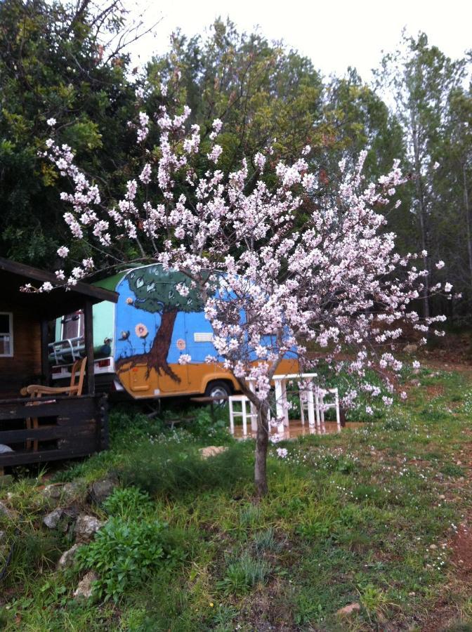India Cabin En Casa Del Paso Chalet *