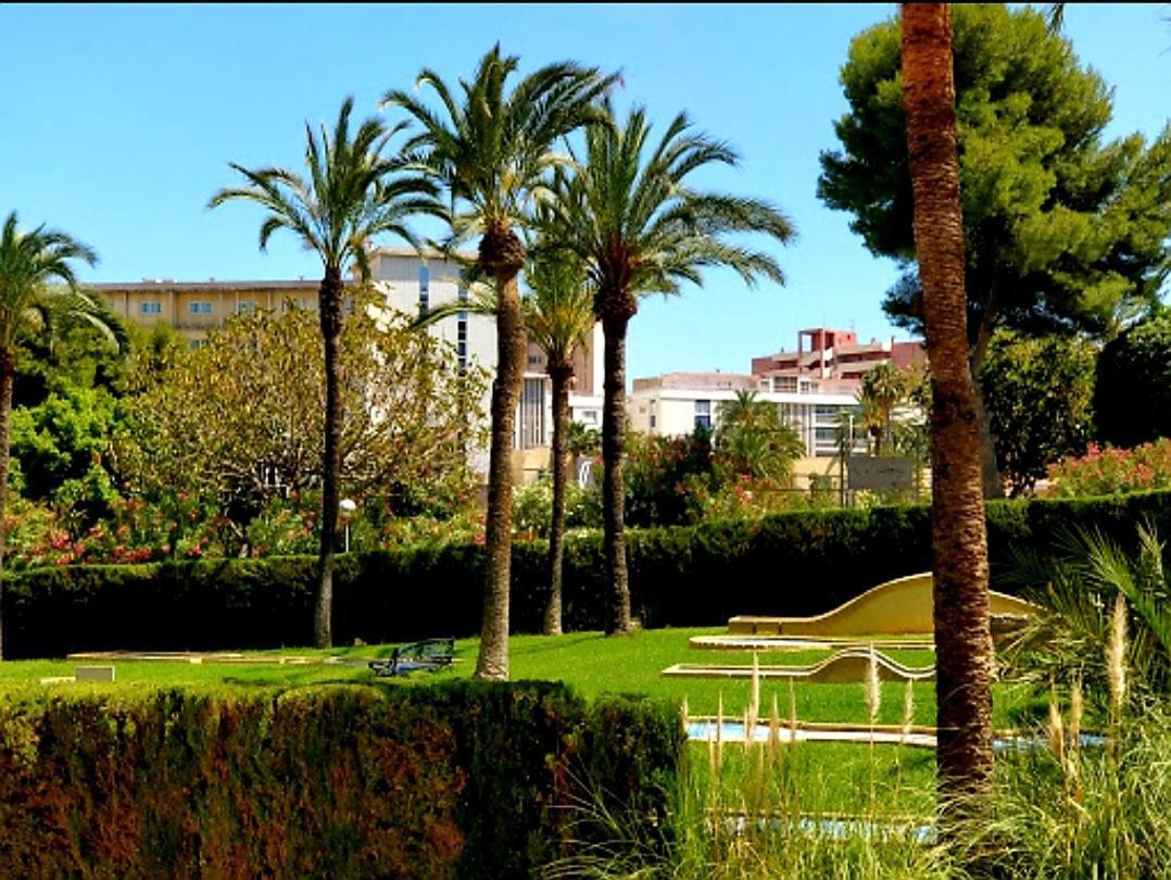 Playa De San Juan Appartement