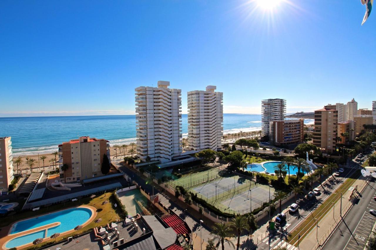 Loft Lyon Alicante