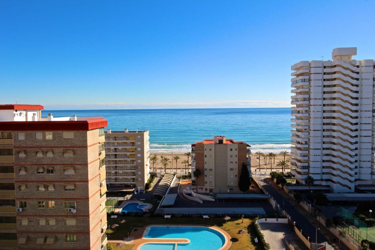 Loft Lyon Alicante