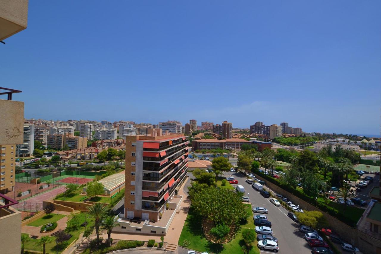 12 Soles Alicante
