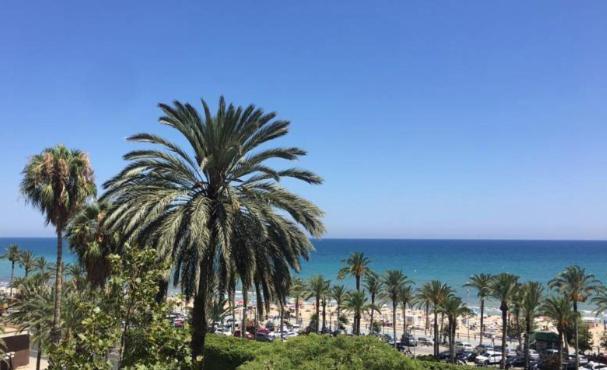 Bel Face A La Alicante