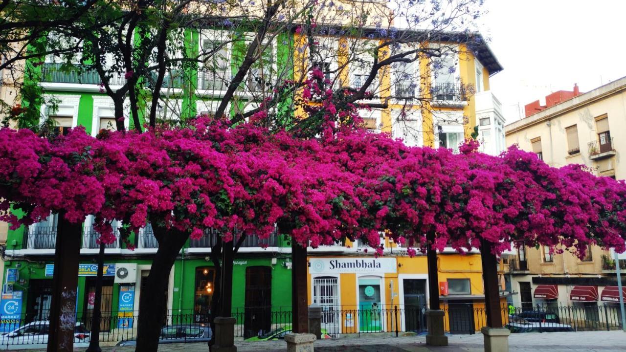 Charming In Near The Sea & Center * Alicante