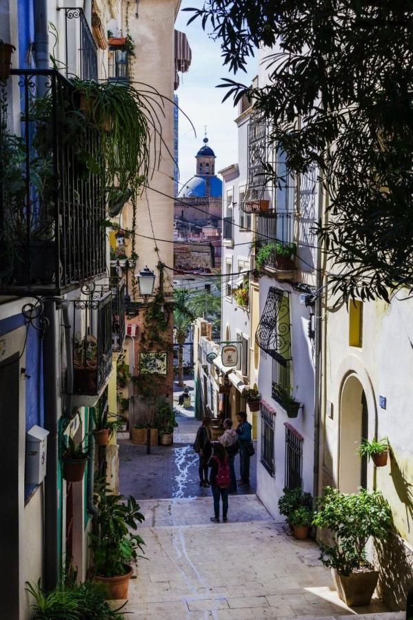 Charming In Near The Sea & Center Apartment Alicante