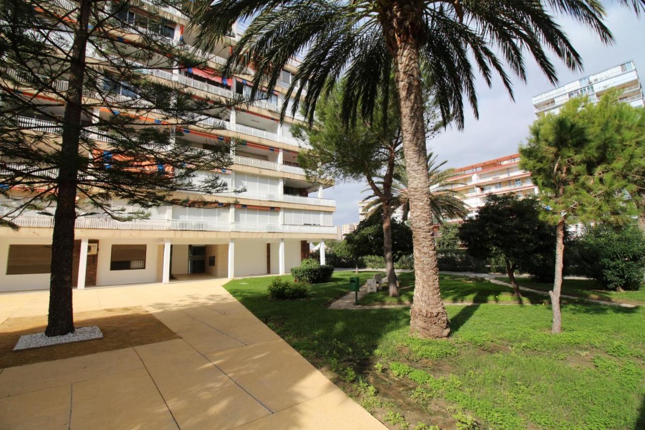 Apartamento Apartamento Janeiro