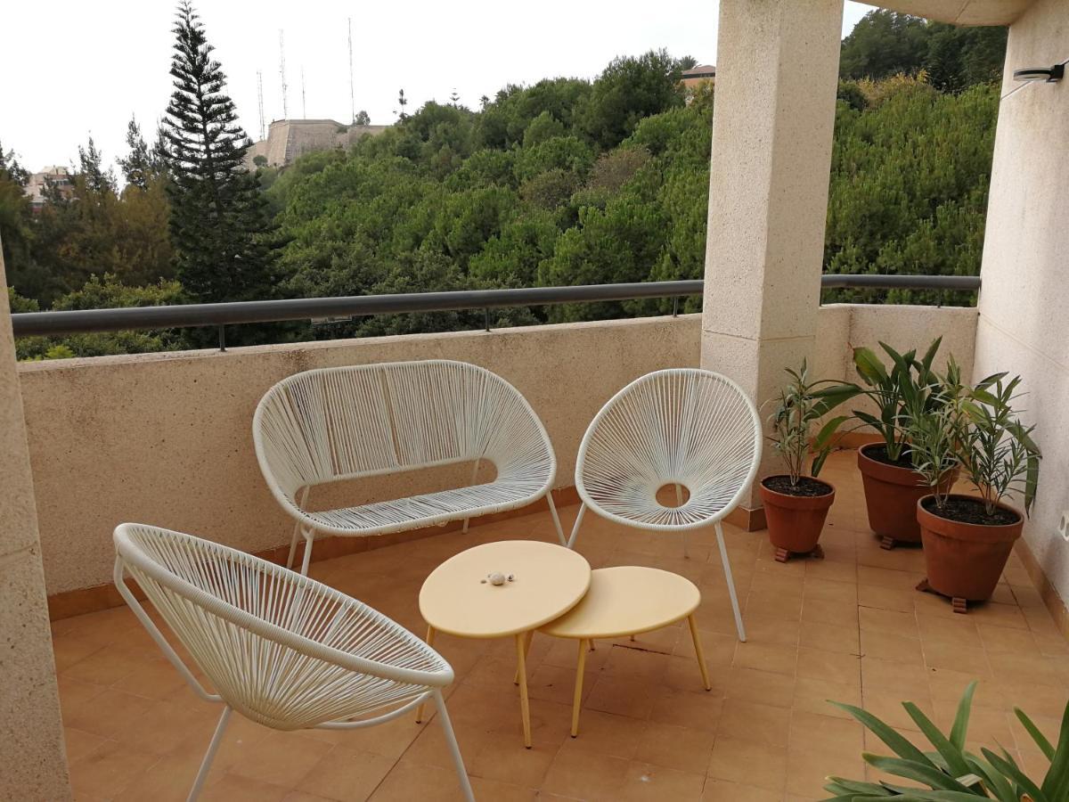 Modern Terrace Living