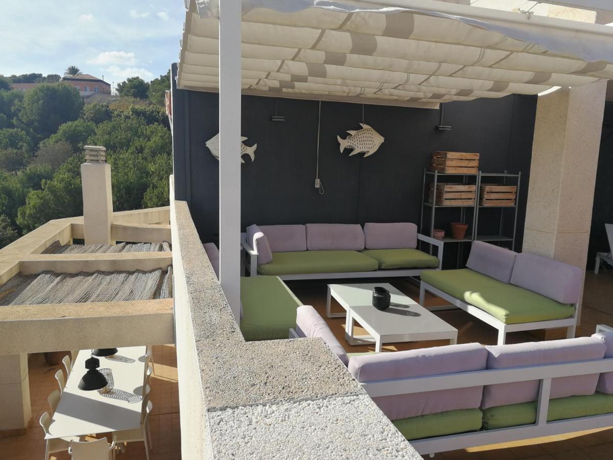 Apartment Modern Terrace Living