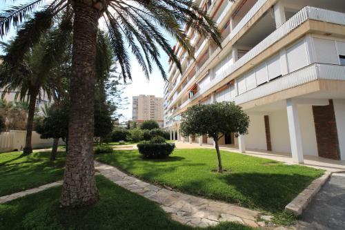 Apartamento Janeiro Apartamento *