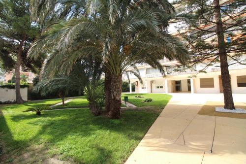 Apartamento Janeiro Alicante