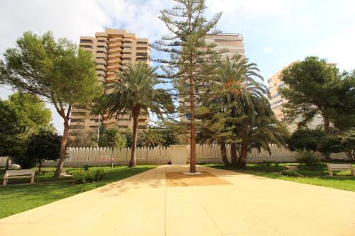 Apartamento Janeiro Alicante