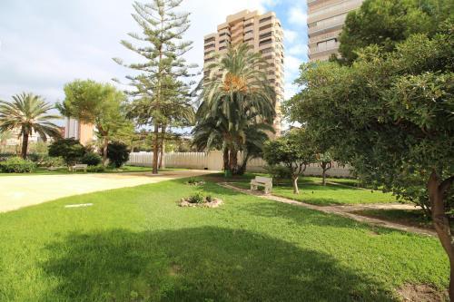 Apartamento Janeiro