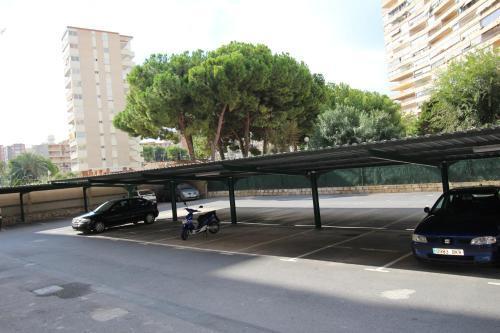 Apartamento Janeiro * Alicante