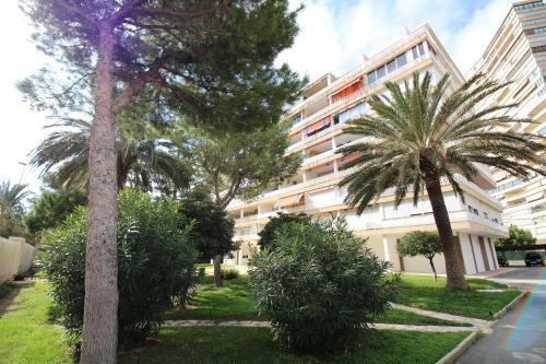 Apartamento Janeiro Apartamento Alicante